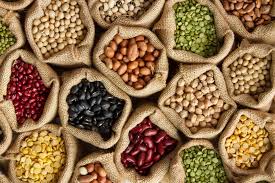 Agriculture & Seeds